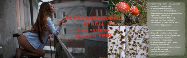 дмт Балахна