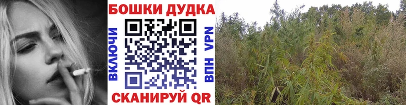 как найти закладки  Белый  Бошки Шишки конопля 